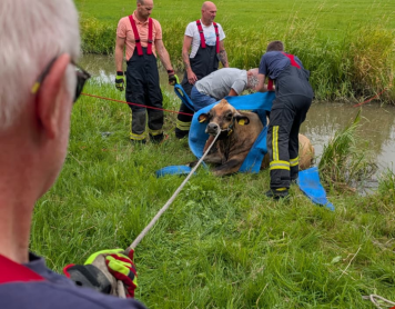 Einsatz Nr. 11 – THTIER G